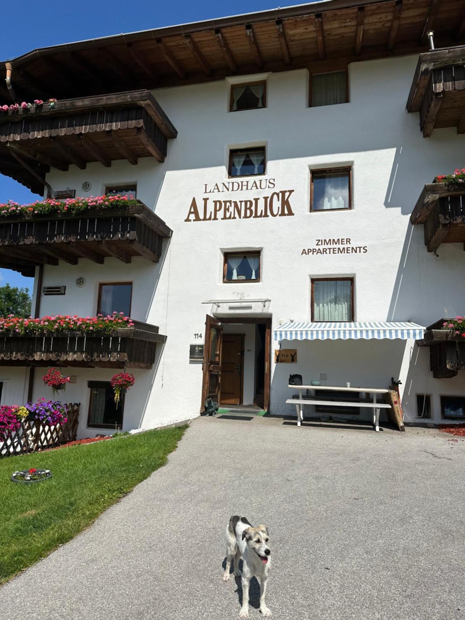 Landhaus Alpenblick อ็อบชไตก์ ภายนอก รูปภาพ